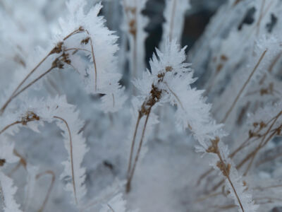 Opérations et expertise