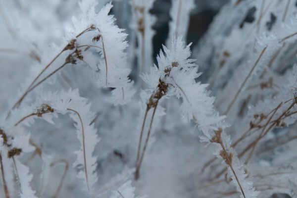 Opérations et expertise