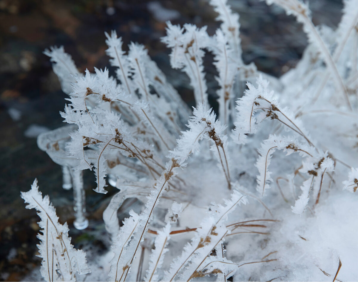 Engagements environnementaux et sociaux